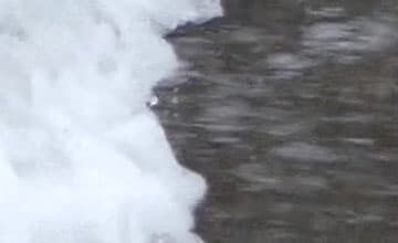 Видеосъемка фотоаппаратом Panasonic DMC-FZ300