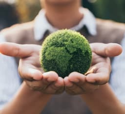 LG Recognized as a Leader in Environmental Sustainability