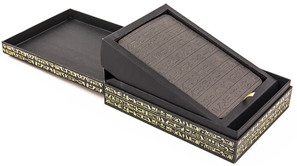 Упаковка Onyx Boox T76ML Cleopatra