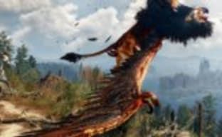 Снят запрет на публикацию онлайновых обзоров The Witcher 3: Wild Hunt