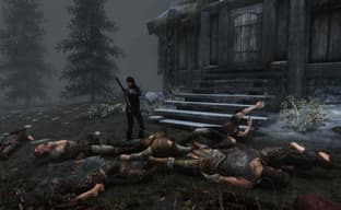 Игрок остался один в Skyrim. Он утверждает, что уничтожил всех персонажей и существ