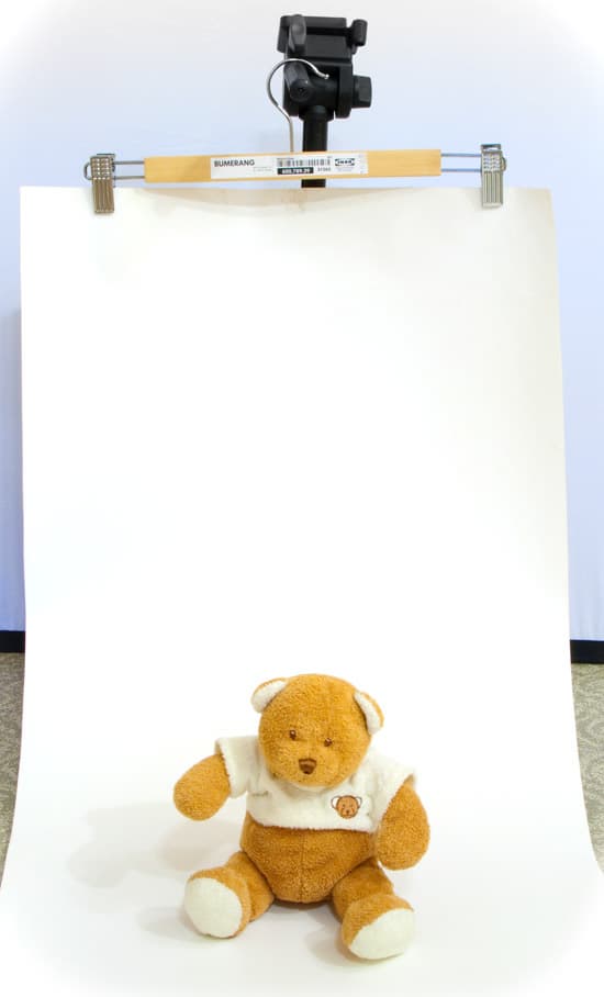 Фотосъемка котят