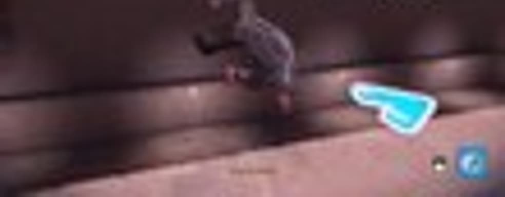 Tony Hawk's Pro Skater 5 - один сплошной глюкодром