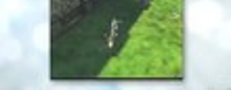 ICO - ранняя версия