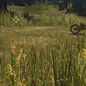 Foliage quality High