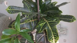 Посмотреть в полный размер