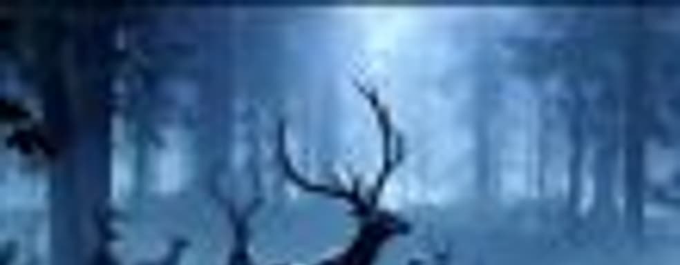 Halo Infinite без поддержки Xbox Play Anywhere?