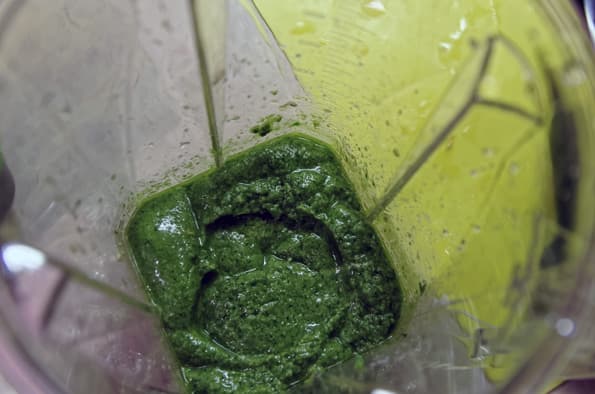 Профессиональный блендер Rawmid Dream Greenery BDG-07