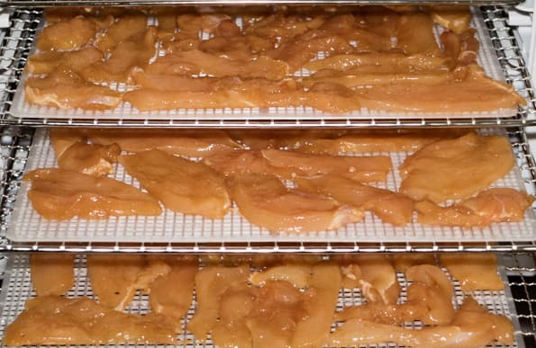 Дегидратор Rawmid Dream Vitamin DDV-10