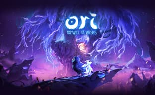 Слух: идёт разработка Ori 3