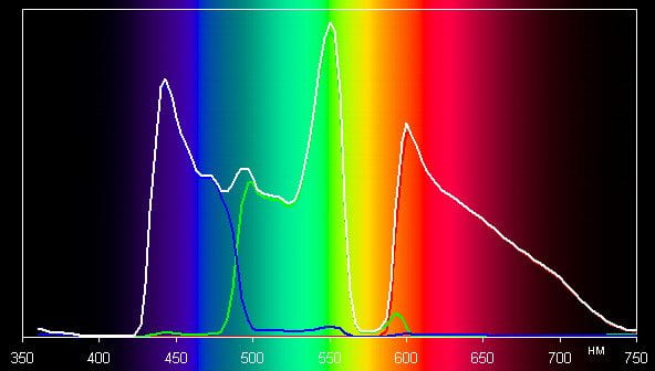 Spectrum