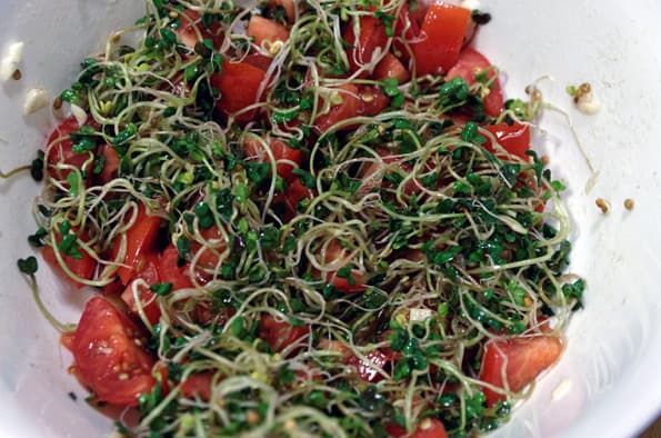 Проращиватель Rawmid DS-01