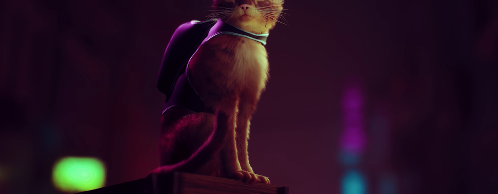 Дополнение для Outer Wilds, дата выхода Solar Ash и геймплей игры про котика Stray — что показали на презентации Annapurna Interactive