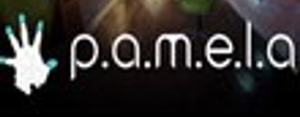 Ужастик P.A.M.E.L.A. ожидается в этом году