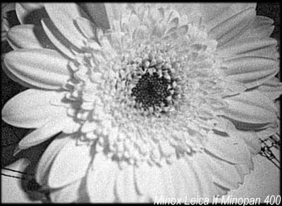 Minopan 400 Minox Leica If, Epson 4870