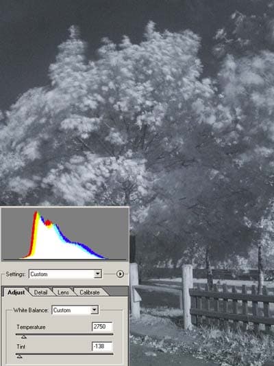 Снимок с фильтром ИКС 1