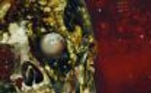 Sniper Elite Nazi Zombie Army &mdash; снайперы против зомби