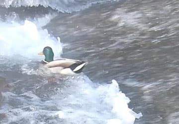 Видеосъемка фотоаппаратом Fujifilm X-T2