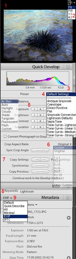 Adobe Lightroom public beta 3