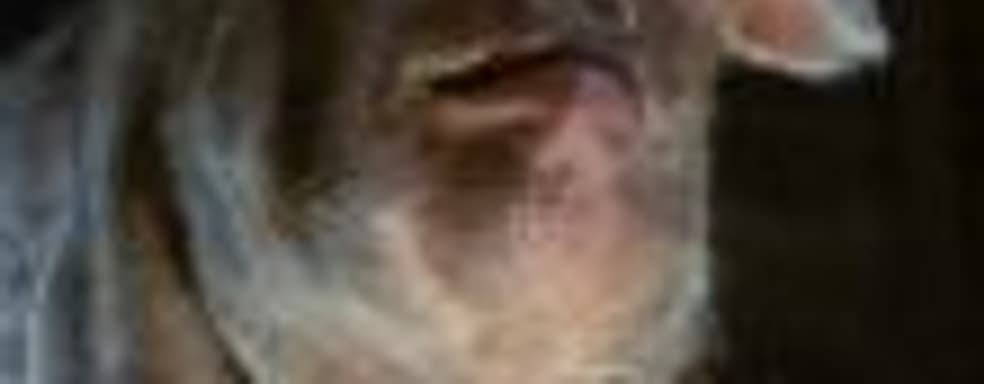 Анонсирована игра по «Скотному двору» Оруэлла