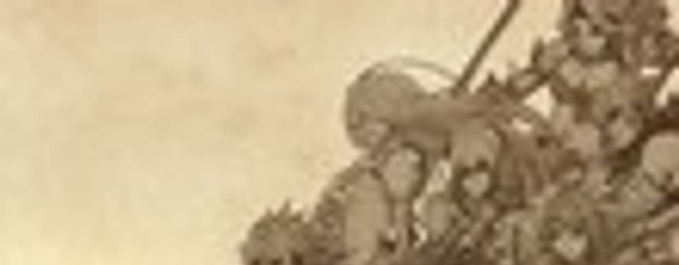 The Last Story в Европе в 2012