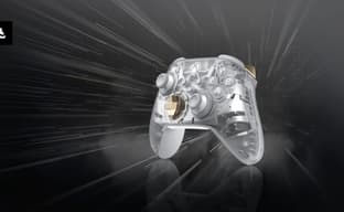 Xbox is preparing a special version of the controller. Informant revealed details