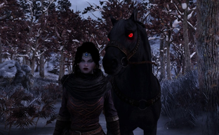 PlayStation и Bethesda объединились на Рождество. Неожиданный коллаб немецких подразделений