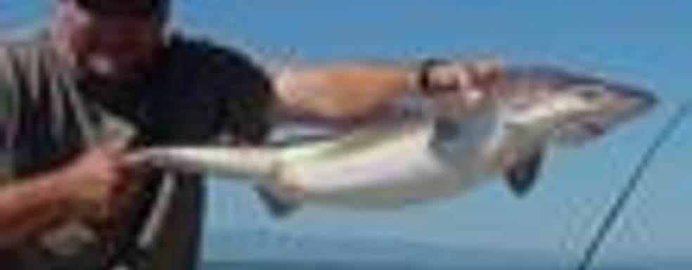 Слух: Disney купит издательство EA?