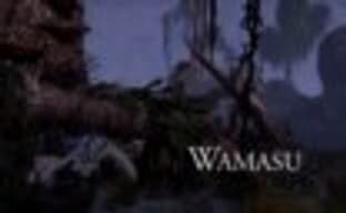 The Elder Scrolls Online - Wamasu