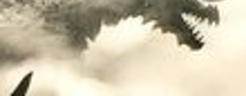 Расы Guild Wars 2