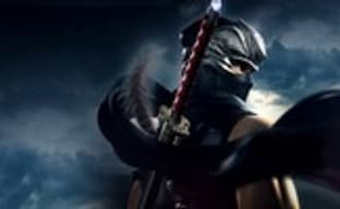 Team Ninja делает каноническое продолжение Ninja Gaiden