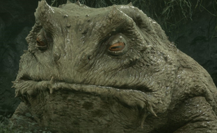 В Epic Games Store началась бесплатная раздача Mortal Shell, которая продлится лишь сутки