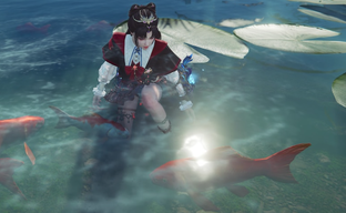 Онлайн Steam поставил новый рекорд — с момента установки предыдущего не прошло и двух недель