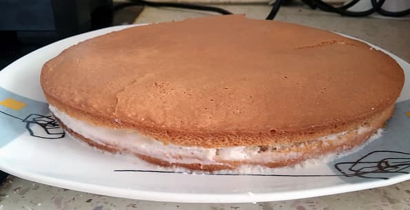 Стационарный блендер Rawmid BDM-06