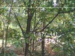 Режимы автофокуса