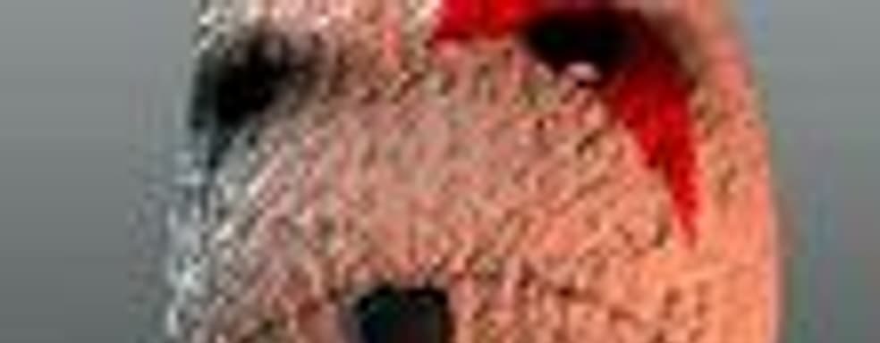 Кратос и Нарико в LittleBigPlanet