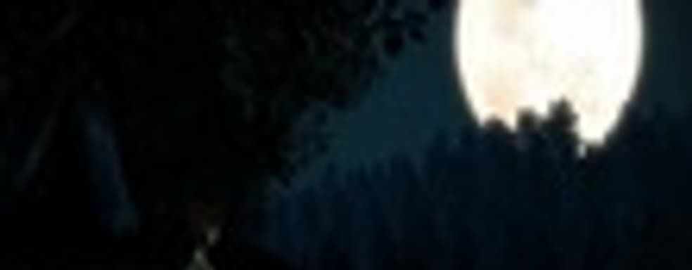 Hybris перенесли на следующий год