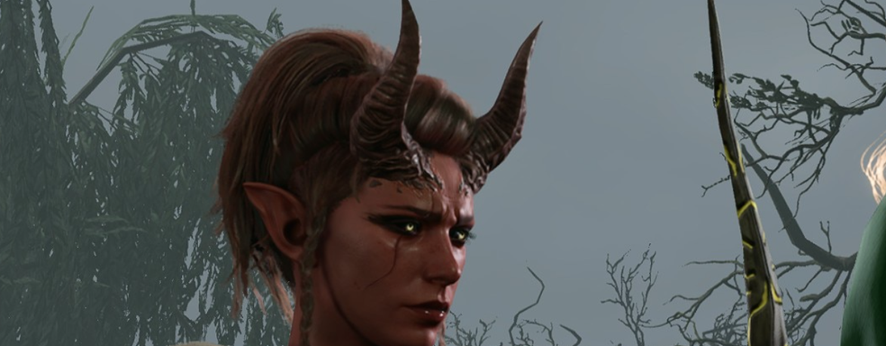 Слух: Baldur’s Gate 3 выйдет на iPhone и iPad