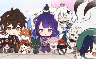 Мерч Genshin Impact для животных. miHoYo устроила коллаб с зоомагазином