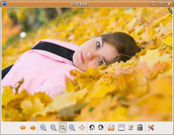 Просмотр изображений в GPicView Image Viewer