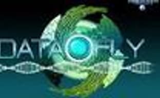 Тизер Data-Fly
