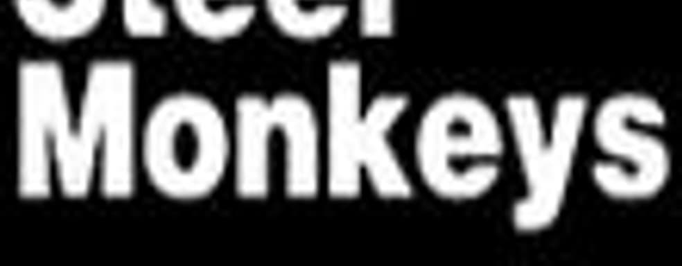 Steel Monkeys - официальный разработчик игр для Wii