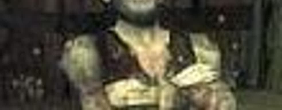 Fable II без онлайнового коопертива