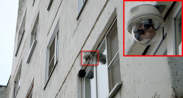 IP-камера наблюдения Arecont AV40185DN-HB