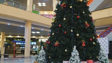 Видеосъемка фотоаппаратом Sony Alpha ILCE-7RM2