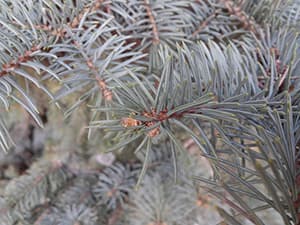 Фотографии смартфона LG Optimus G Pro