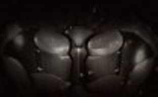 Видеодневники Batman: Arkham Knight