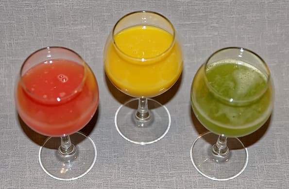 Шнековая соковыжималка Panasonic MJ-L500