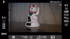 Видеосъемка фотоаппаратом Nikon D500