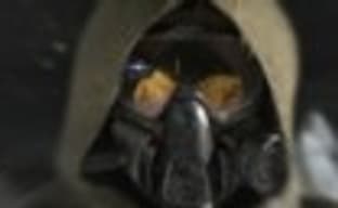 CG-трейлер Destiny